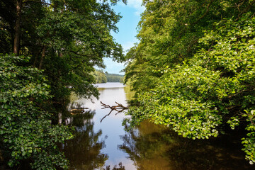 Etang de la Fabrique