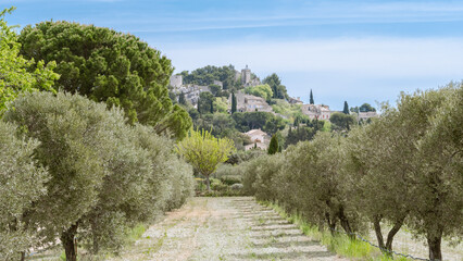 Village Provençal d'Eygalières dans les Alpilles, village perché au milieu des champs d'oliviers...