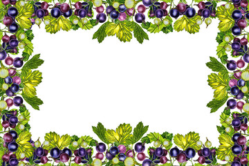 Blackcurrant, frame. Branches with currant berries. Watercolor hand drawn illustration. On a white background. For labels, packaging. For textiles, prints and stickers. For menus, invitation cards.