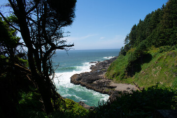 Fototapeta premium Oregon Coastline