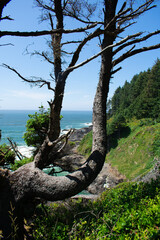 Oregon Coastline