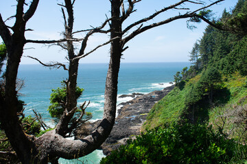 Oregon Coastline