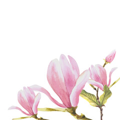 Fototapeta premium Floral frame watercolor magnolias flowers buds and leaves Hand painted Illustration