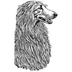 Afghan Hound dog silhouette pet character, clip art vector pets drawing black and white