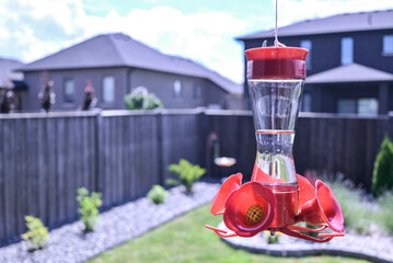 Humming bird feeder