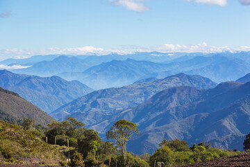 Green hills in Colombia