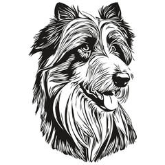 Bearded Collie dog silhouette pet character, clip art vector pets drawing black and white realistic breed pet