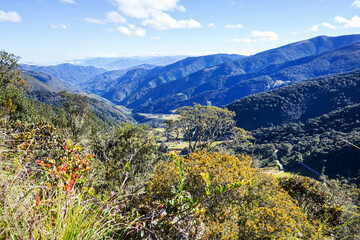 Green hills in Colombia