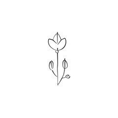 hand drawn flower logo. illustration of flower