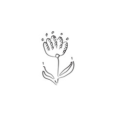 hand drawn flower logo. illustration of flower