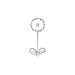 hand drawn flower logo. illustration of flower