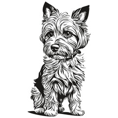 Dandie Dinmont Terriers dog hand drawn logo drawing black and white line art pets illustration