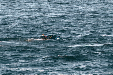 A man after falling from a jet ski into the sea tries to climb onto it. Save yourself and don't drown.
