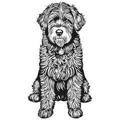 Portuguese Water dog t shirt print black and white, cute funny outline drawing vector