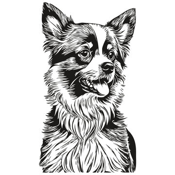 Papillon dog dog black drawing vector, isolated face painting sketch line illustration