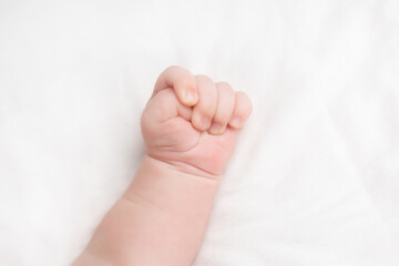 Obraz na płótnie Canvas hands of a newborn baby. little hands