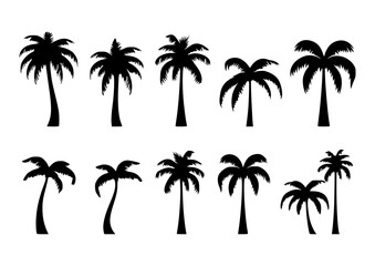 Fototapeta na wymiar Palm tree silhouette set vector illustrations