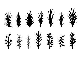 Obraz premium Grass and leaves silhouette set vector illustrations