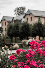 s&auml;siche Schweiz