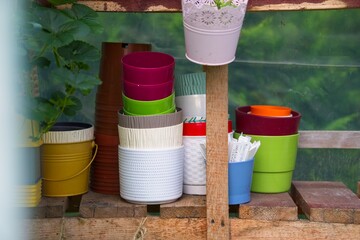 colorful pots with hand-written labels with descriptions of the plants planted in the greenhouse