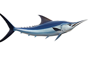 Fototapeta premium a Blue Marlin, Makaira nigricans swimming in various positions in Fishing and Aquatic-themed, photorealistic illustrations in a PNG, cutout, and isolated. Generative AI