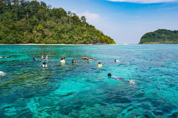 people snorkeling on the tropical sea