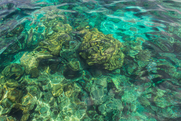 Naklejka na ściany i meble underwater stones in clear water