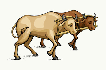 Vector drawing. Old wooden yoke on the cow