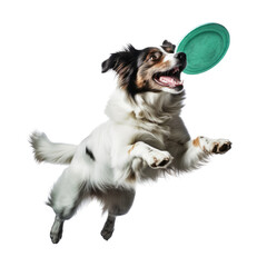 an Australian Shepard, jumping mid-air for a frisbee, in various positions Pet-themed, photorealistic illustration in a PNG, cutout, and isolated. Generative AI