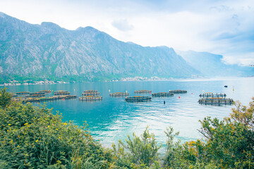 Fish farm in calm sea with smooth water surface, the bay of Kotor, Montenegro