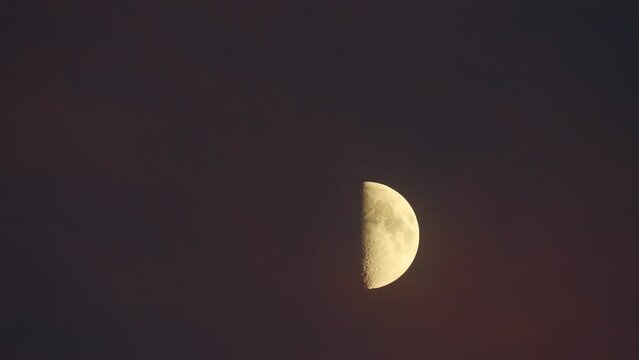 Half moon at night on dark black sky.