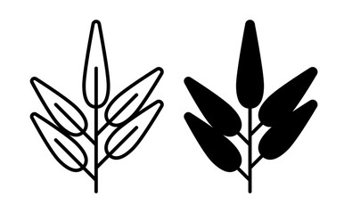 isolated sage leaf herb line icon set in black color.