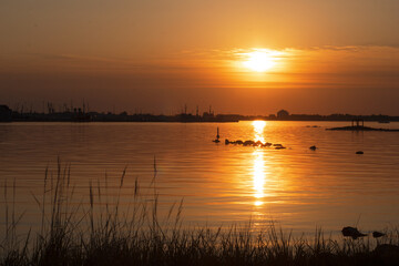 Golden sunset sky backdrop with reflection on sea level, stones in water, grass straws in foreground, ship docks in background and copy space