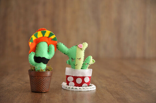 cactos m&ecirc;xicano em fundo amadeirado com espa&ccedil;o para an&uacute;ncio ou promo&ccedil;&atilde;o 