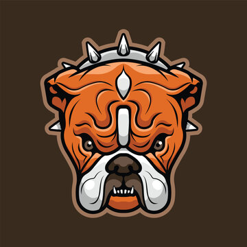 Angry english bulldog mascot with a spiked collar. Vector illustration