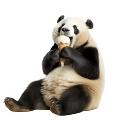 Naklejka premium a hungry Giant Panda bear eating a vanilla ice cream cone, Fun-themed, photorealistic illustration in a PNG, cutout, and isolated. Generative AI