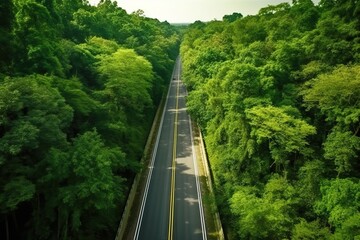 Aerial view of a road crossing a dense forest, generative ai