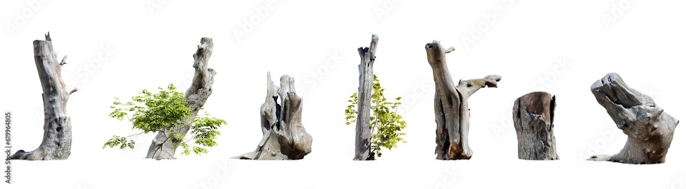 Poster set of tree stumps isolated on transparent background. 3d render.
