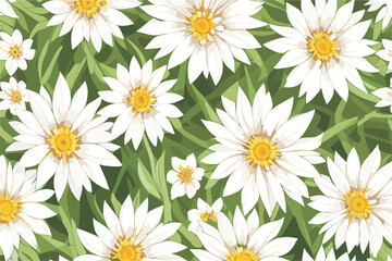 Fototapeta premium Vector floral pattern with white flowers chamomile (small and large) on a background of green grass.