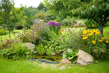 Small artificial pond on autumn day in the garden. Beautifully designed garden pond surrounded with plants and flowers.