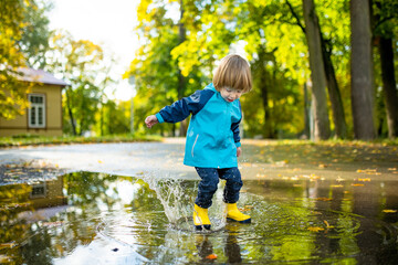 Adorable toddler boy wearing yellow rubber boots playing in a a puddle on sunny autumn day in city...