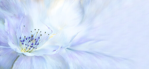 Biały kwiat, tapeta kwiaty. Generative AI - obrazy, fototapety, plakaty
