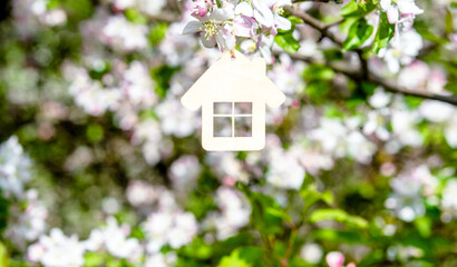 Symbol of the house on the branches of a flowering apple
