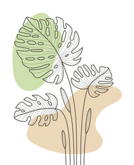 Hand Drawn Flat Design Simple Flower and Tropical Monstera Plant Outline