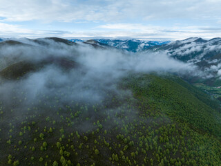 Beautiful  view of sunrise forest landscape in Sichuan,China