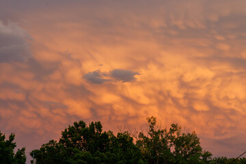 Sunset reflecting against thunderclouds in the evening with small grey cloud and trees in the foreground