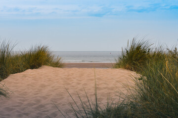 Fototapeta na wymiar dunes and grass