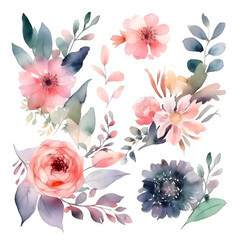 Watercolor flowers set. Hand painted floral elements isolated on white background.