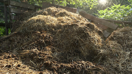 Dung heap on a farm near Berlin. Dunghill in the sunlight.