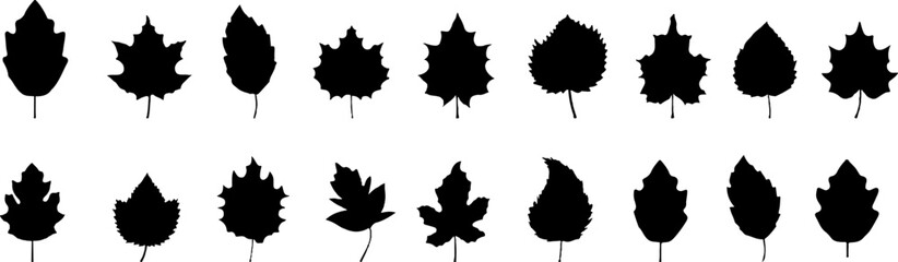 Set of black autumn leaves.Black leaf icons collection.  Maple leaf.Black siihouette leaf icons collection.
